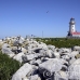lighthouse_island_seal_machias_h_2982_can1631.jpg